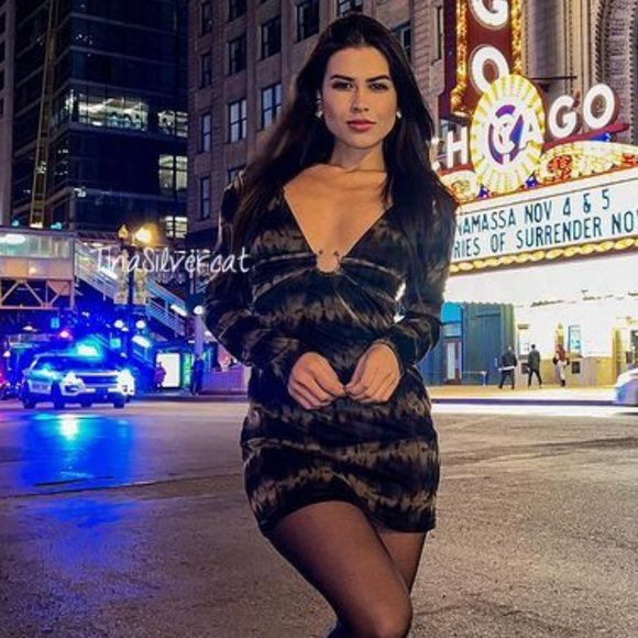 BLOGGER'S FAVE! Zara Printed Tulle Mini Dress NWT - Picture 6 of 16